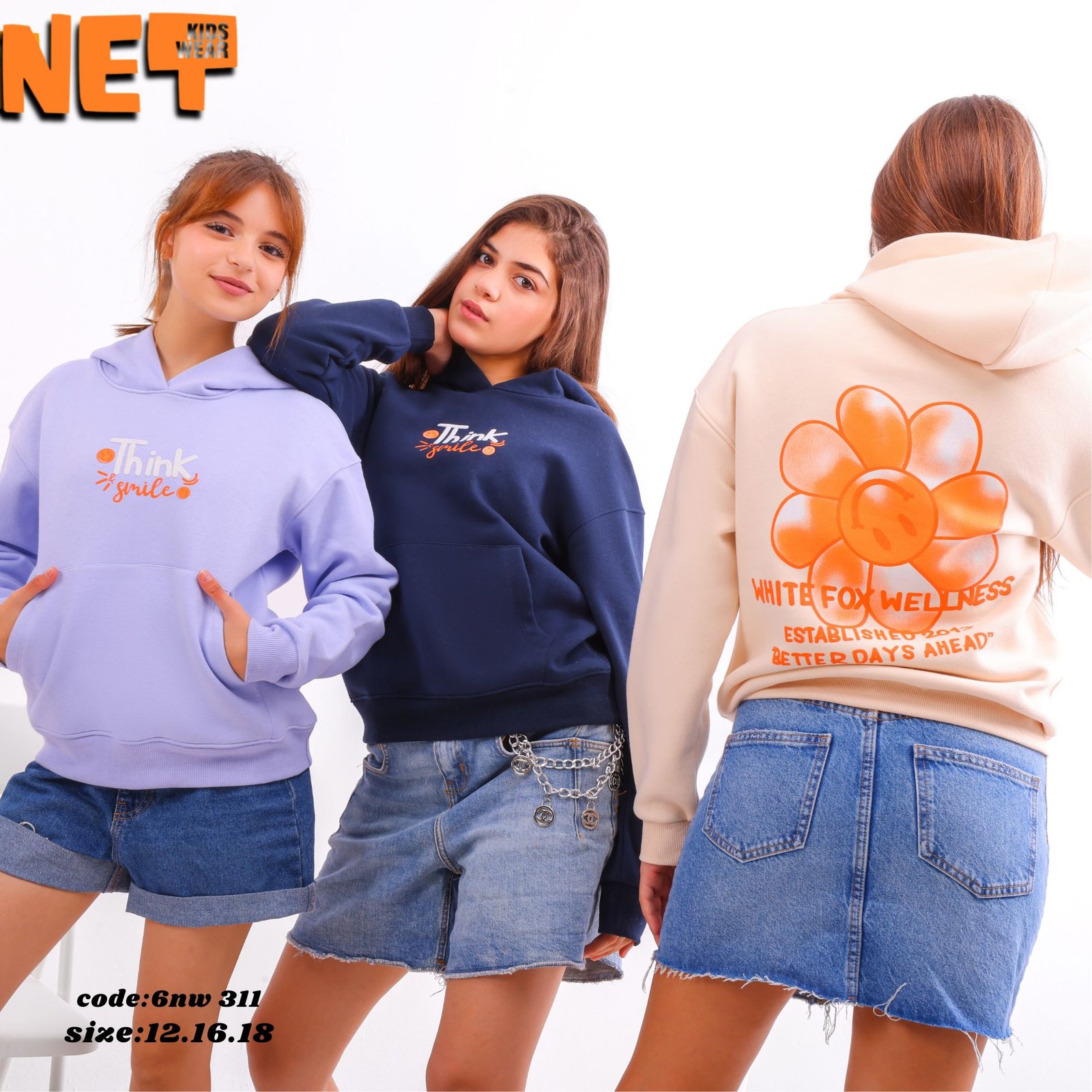 311 6nw311 - الصورة 1